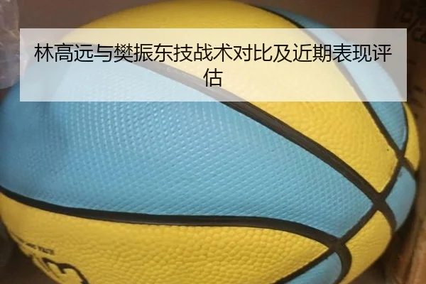 林高远与樊振东技战术对比及近期表现评估